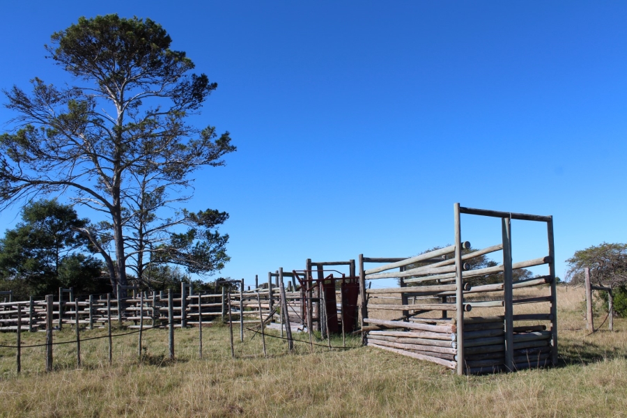 1 Bedroom Property for Sale in Bathurst Rural Eastern Cape